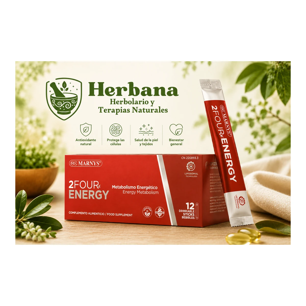 2Four-Energy stick