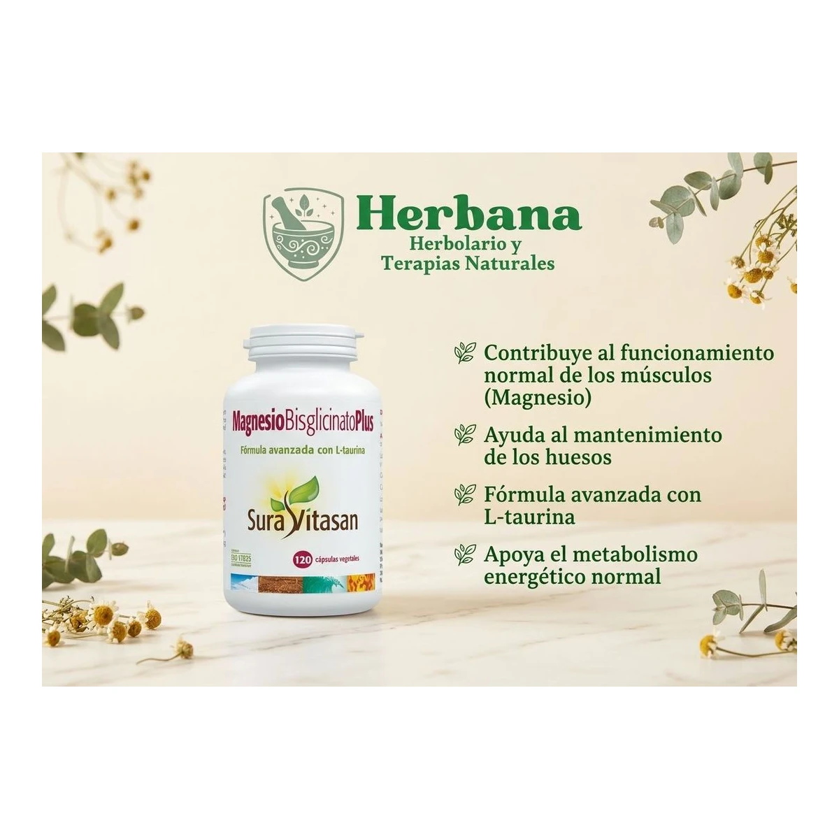 Magnesio bisglicinato plus sura vitasan