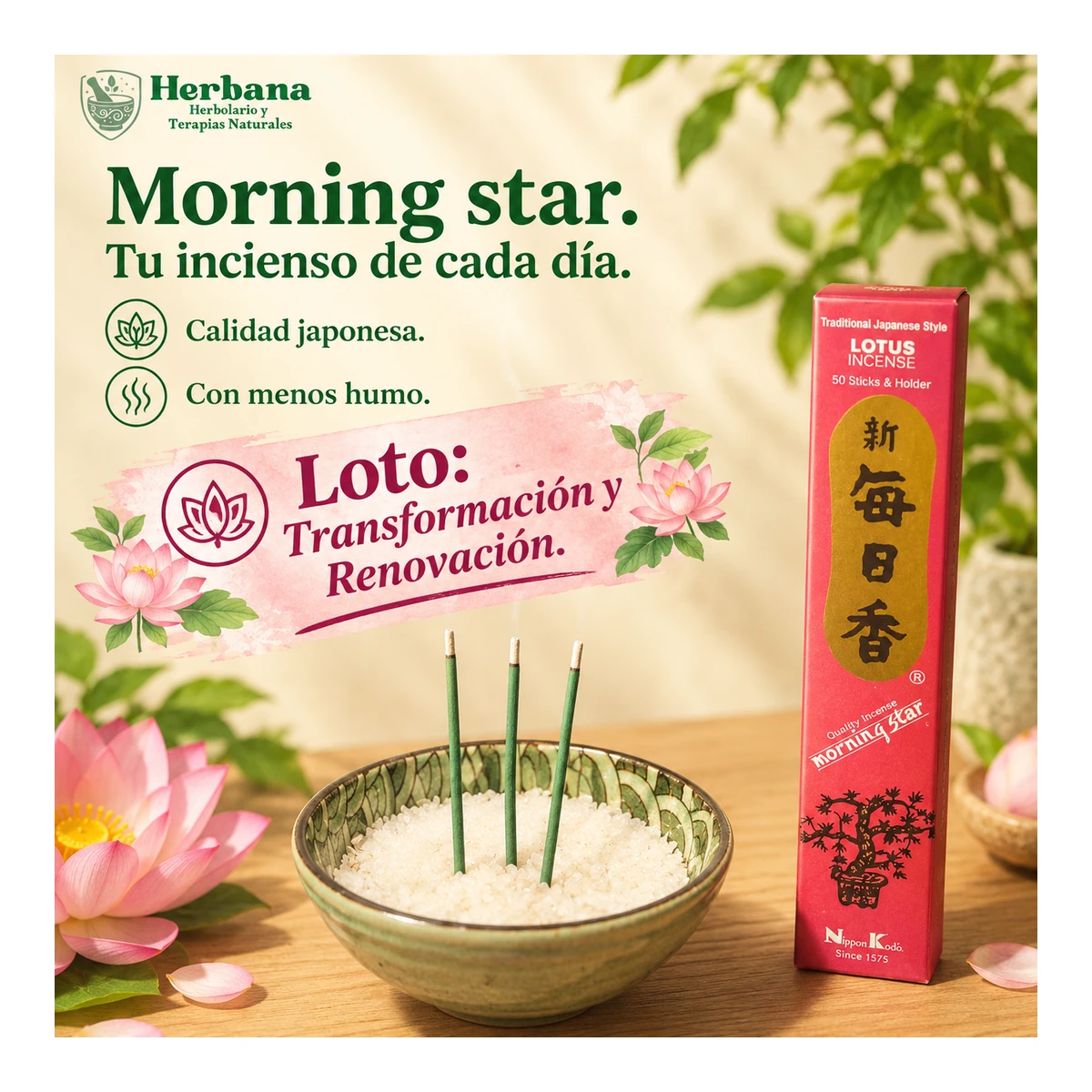 Morning Star · Loto · 50 bar.