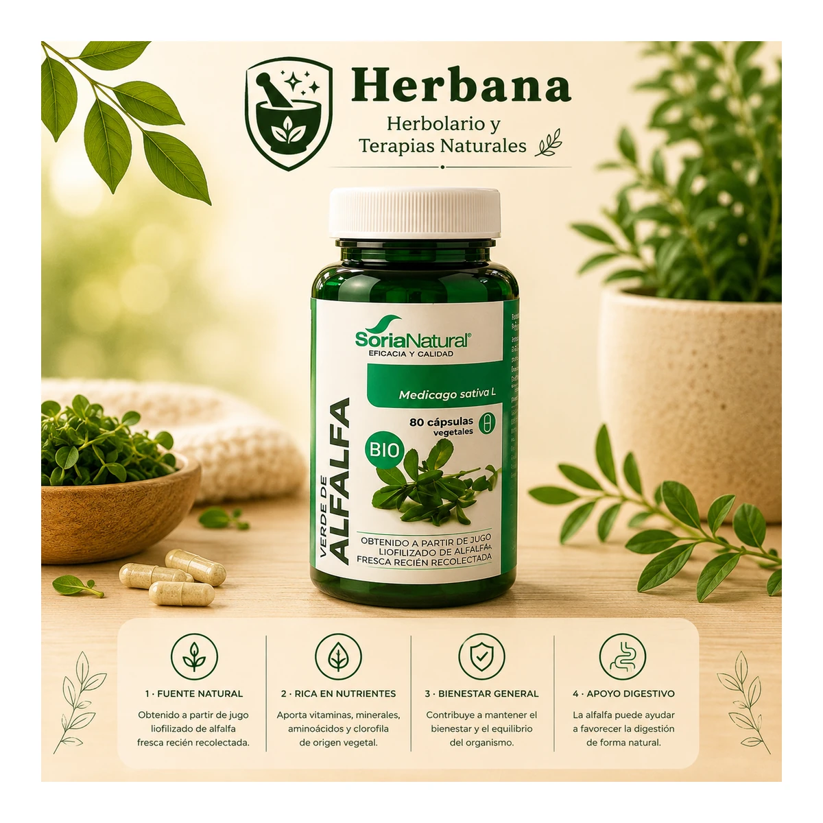 Verde de alfalfa Bio